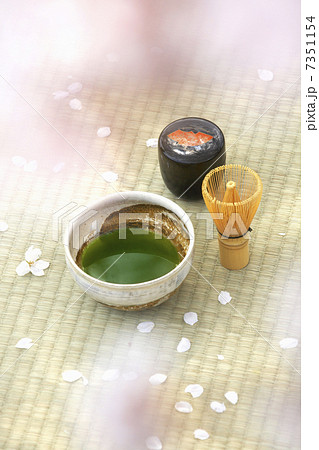 春のお茶会 春のお茶会 7351154