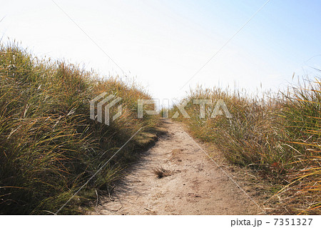 山道 山道 7351327