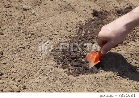 スコップ 7351631