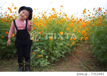 お花畑で 7352081