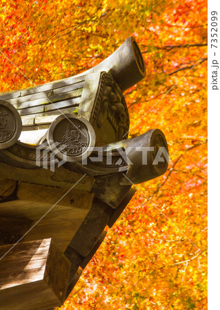 鬼瓦と紅葉 7352099