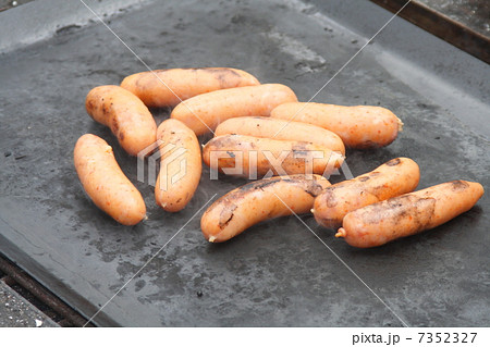 ウィンナー 7352327