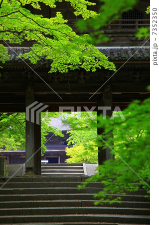 新緑の功山寺 7352350