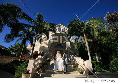 チャペル入場 7352405