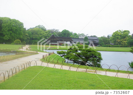 五月の雨に洗われる岡山後楽園 7352607