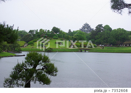 五月の雨に洗われる岡山後楽園 7352608