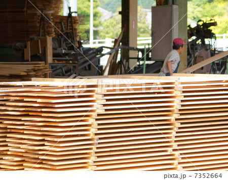 製材所で働く男性 7352664