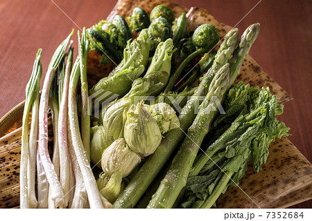 山菜 7352684