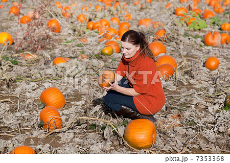 Young woman working on pumpkin field Young woman working on pumpkin field 7353368