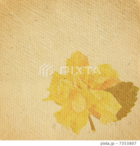 hibiscus flower hibiscus flower 7353807