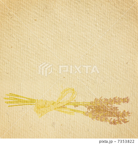 dry lavender 7353822