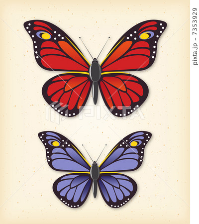 Summer butterfly vector set 7353929