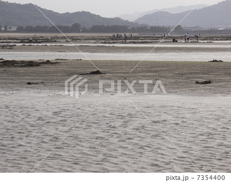 干潟／白石海岸 7354400