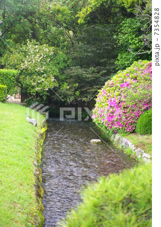 小雨降る新緑の岡山後楽園 小雨降る新緑の岡山後楽園 7354828