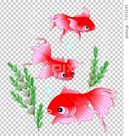 Goldfish   Goldfish   7355245