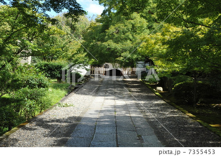 京都　養源院の参道 7355453