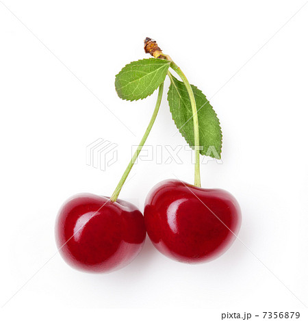 Red cherry with leaves on white 7356879