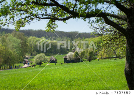 old houses on green meadow 7357369