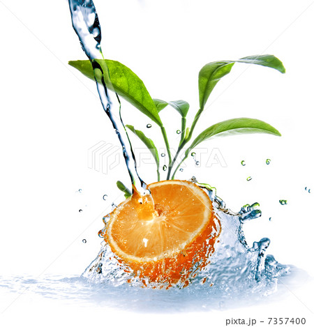 water drops on orange with green leaves isolated on white water drops on orange with green leaves isolated on white 7357400
