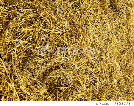 Straw texture 7358273