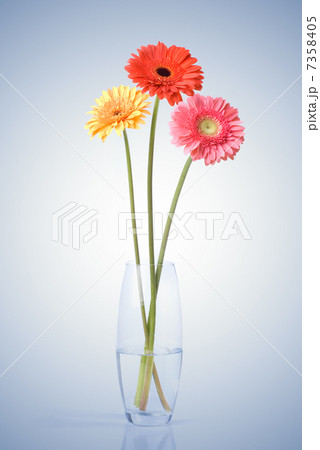 Bouquet from daisy-gerbera in glass vase Bouquet from daisy-gerbera in glass vase 7358405