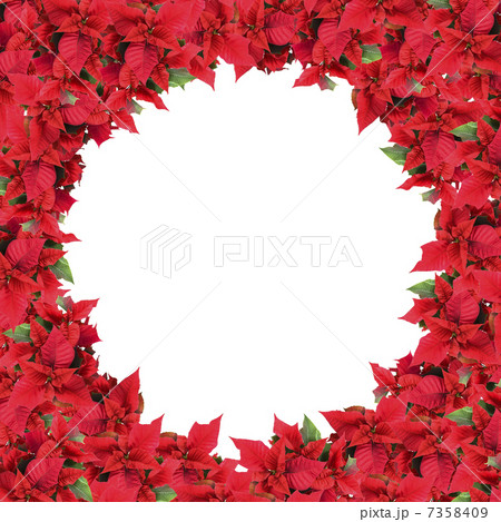 christmas frame from poinsettias isolated on white 7358409