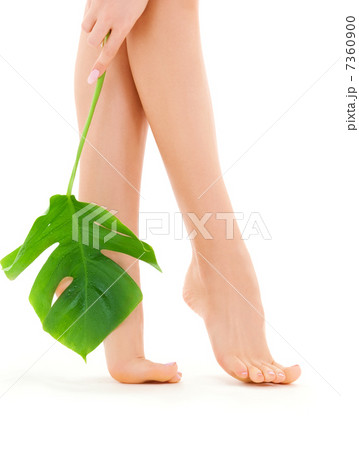 female legs with green leaf female legs with green leaf 7360900