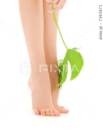 female legs with green leaf 7363871