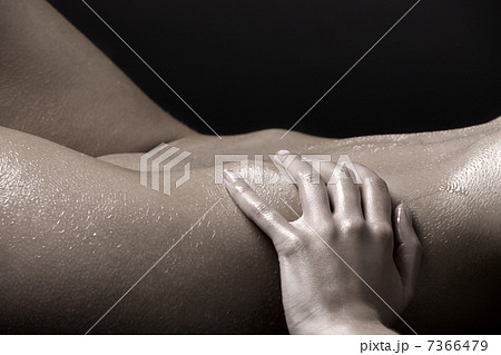 bodyscape bodyscape 7366479