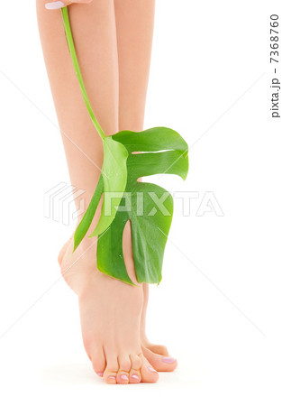 female legs with green leaf 7368760