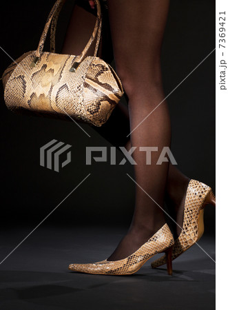 snakeskin shoes and handbag 7369421