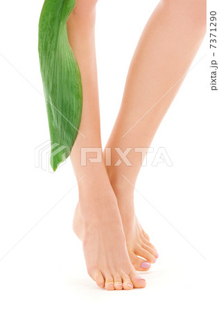 female legs with green leaf 7371290