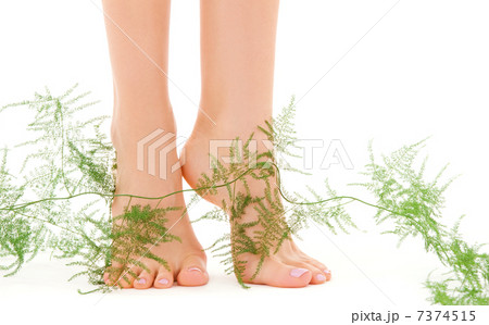female feet with green plant female feet with green plant 7374515