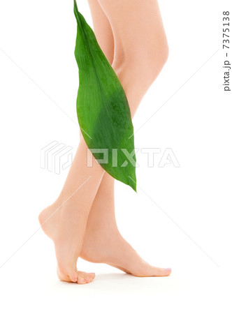 female legs with green leaf 7375138