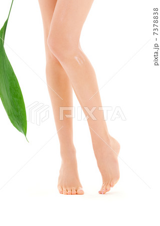 female legs with green leaf 7378838