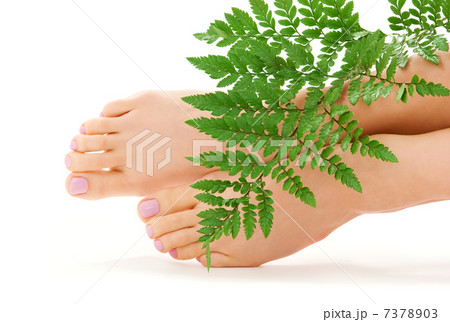 female feet with green leaf female feet with green leaf 7378903