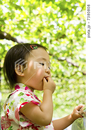 ぶどう刈り 7380808