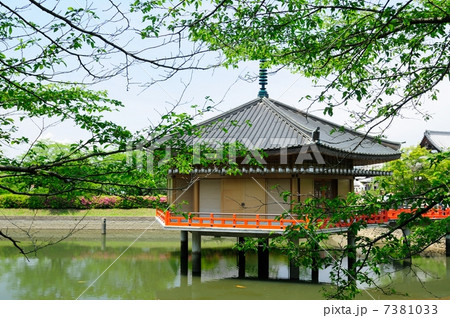 安倍文殊院 金閣浮御堂 安倍文殊院 金閣浮御堂 7381033