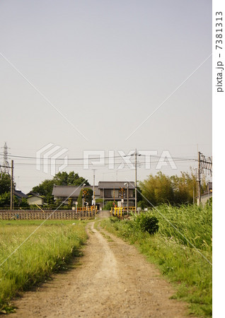 あぜ道から線路 7381313