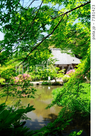 長岳寺　放生池と本堂 7381423