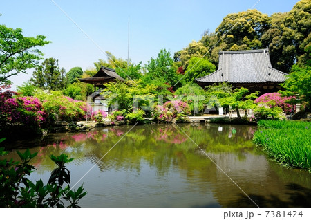 長岳寺 放生池と本堂 長岳寺 放生池と本堂 7381424