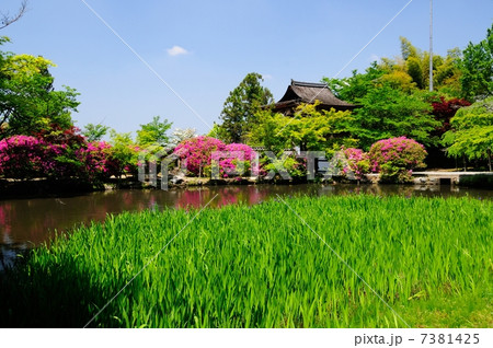 長岳寺 放生池と本堂 長岳寺 放生池と本堂 7381425