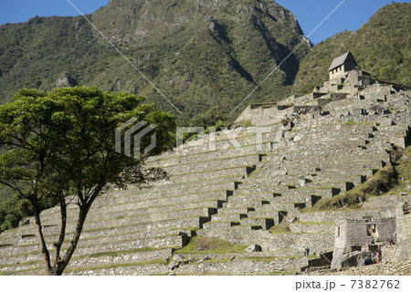 マチュピチュ遺跡 7382762