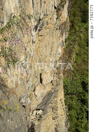 マチュピチュ遺跡 マチュピチュ遺跡 7382775