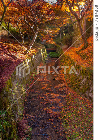 東福寺 東福寺 7384369