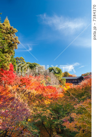 東福寺 通天橋 東福寺 通天橋 7384370