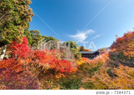 東福寺 通天橋 東福寺 通天橋 7384371