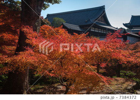東福寺 方丈 東福寺 方丈 7384372