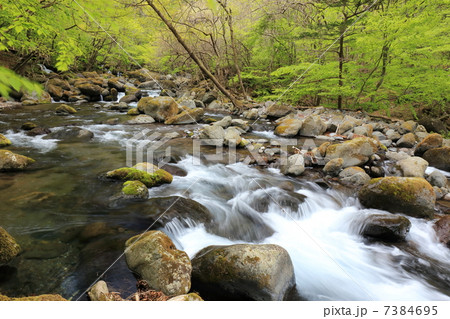 尚仁沢湧水 7384695