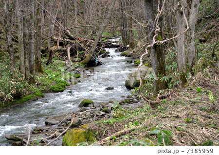 川の上流 川の上流 7385959